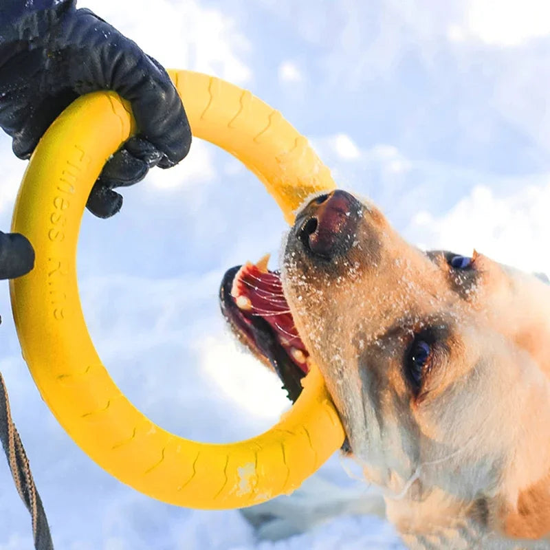 Jouet indestructible pour chien - Anneau de dressage