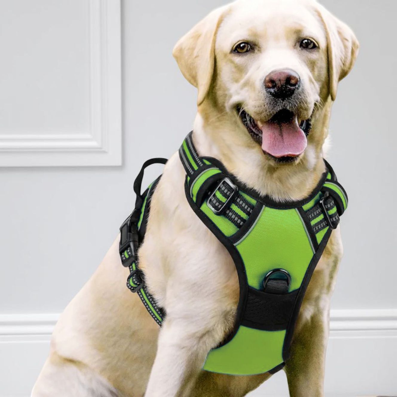 HARNAIS CHIEN ANTI TRACTION | VESTE RÉGLABLE