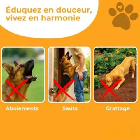 anti aboiement chien doux