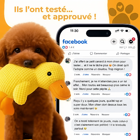 Jouet pour chien | Canard Couineur 3-en-1