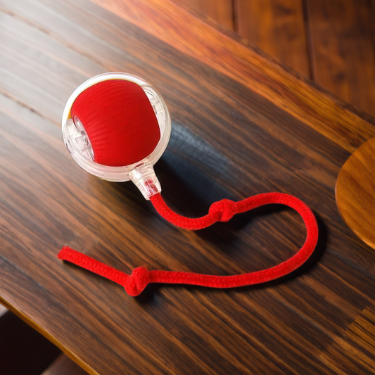 JOUET POUR CHIEN - BALLE ROULANTE ÉLECTRIQUE