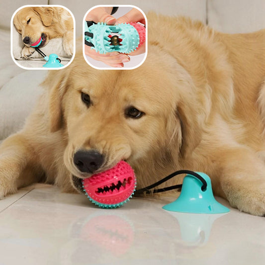 Balle pour chien avec ventouse - FunGrip Ball