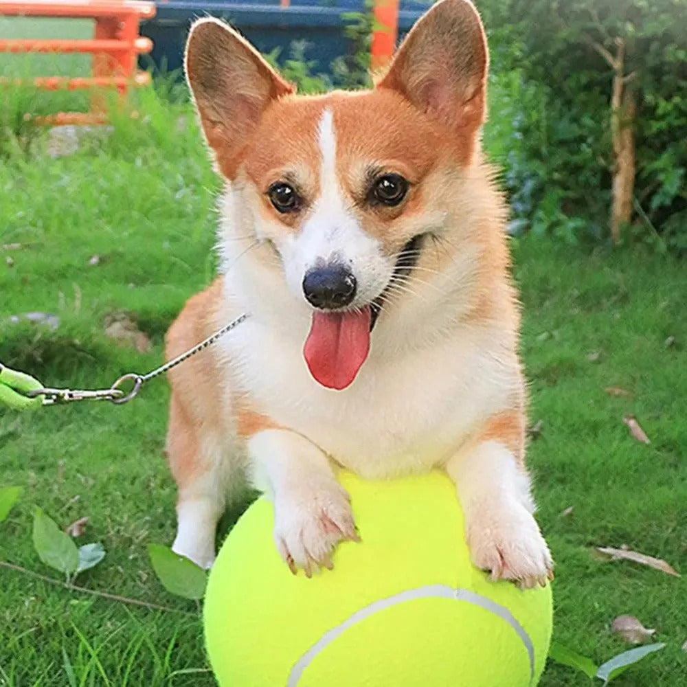 Balle pour chien géante de tennis - FunGéante