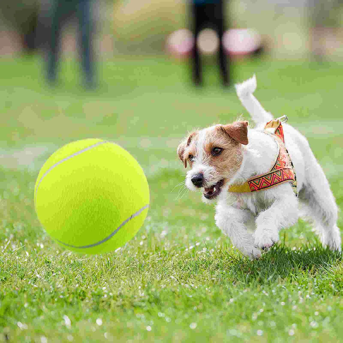 Balle pour chien géante de tennis - FunGéante