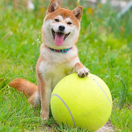 Balle pour chien géante de tennis - FunGéante