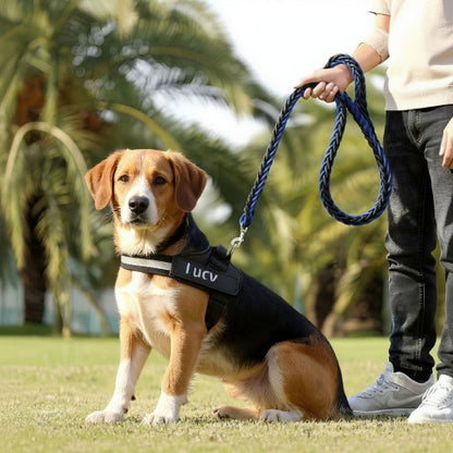 beagle qui porte le harnais chien de service servidog noir pratique