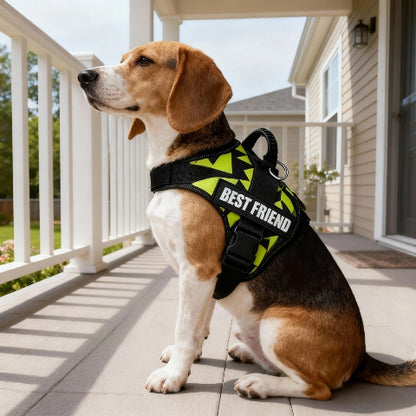 beagle qui porte le harnais pour chien de service Servidog vert graffiti joli