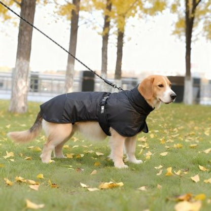 beagle qui porte le manteau chien impermeable noir tres confortable