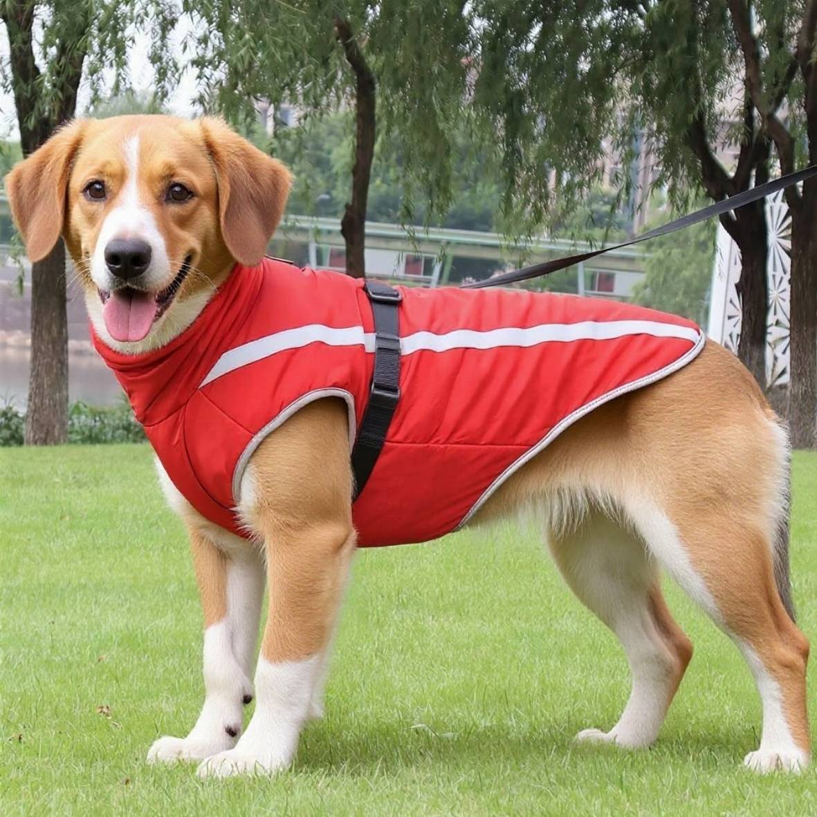 Manteau pour chien | Polaire™