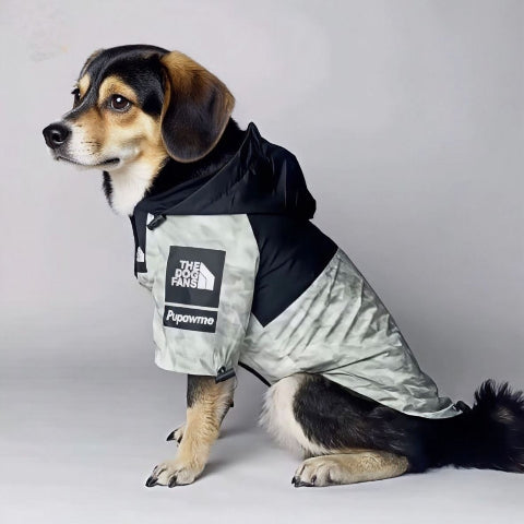 beagle qui porte le manteau pour chien the dog face gris
