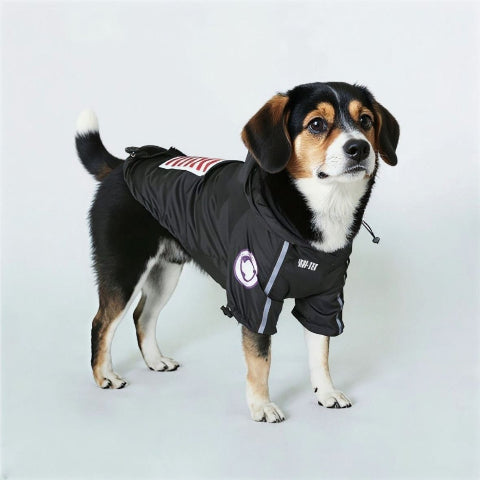 beagle qui porte le manteau pour chien the dog face noir pratique