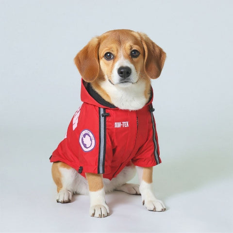 beagle qui porte le manteau pour chien the dog face rouge joli