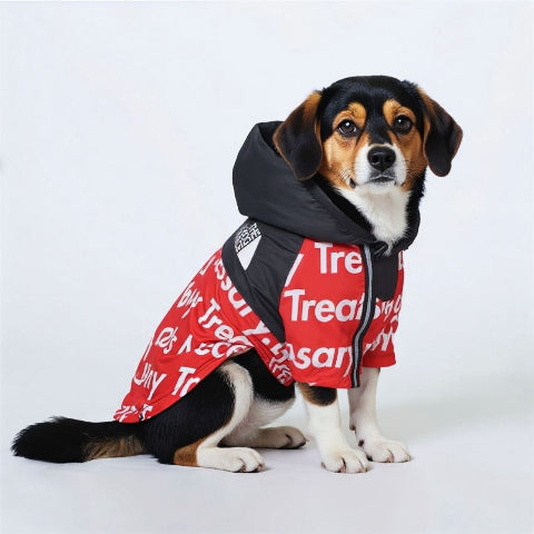 beagle qui porte le manteau pour chien the dog face rouge noir beau
