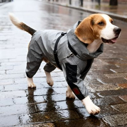beagle qui porte le manteau pour chien thermoprotect joli