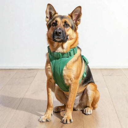 berger allemand qui porte le harnais anti traction chien vert robuste