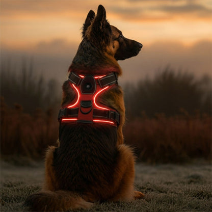 berger allemand qui porte le harnais chien LED lumineux rouge