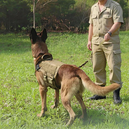 berger allemand qui porte le harnais pour chien militaire tacticontrol vert en se promenant avec un soldat qui le prend par la laisse