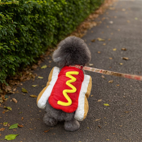 bichon frise qui porte le deguisement chien hot dog confortable