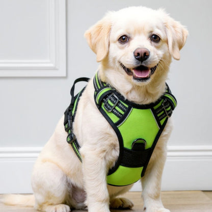 bichon frise qui porte le harnais chien anti traction vert essentiel