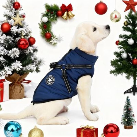 bichon frise qui porte le harnais chien hiver bleu marine magique