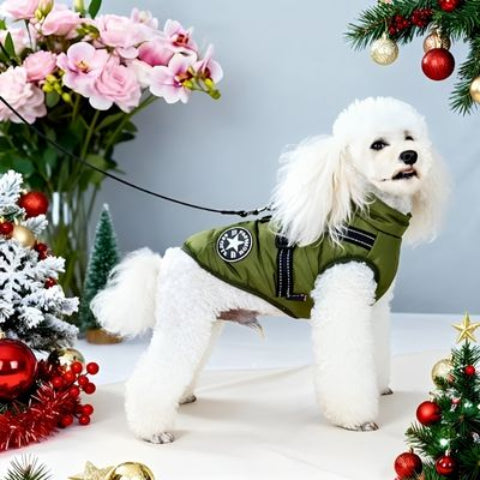 bichon frise qui porte le harnais chien hiver vert de qualite superieure