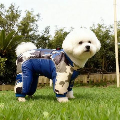 bichon frise qui porte le manteau pour chien impermeable bleu indispensable