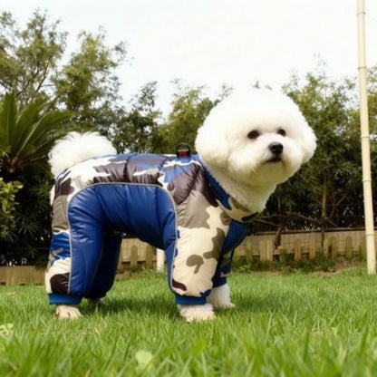 bichon frise qui porte le manteau pour chien impermeable bleu indispensable