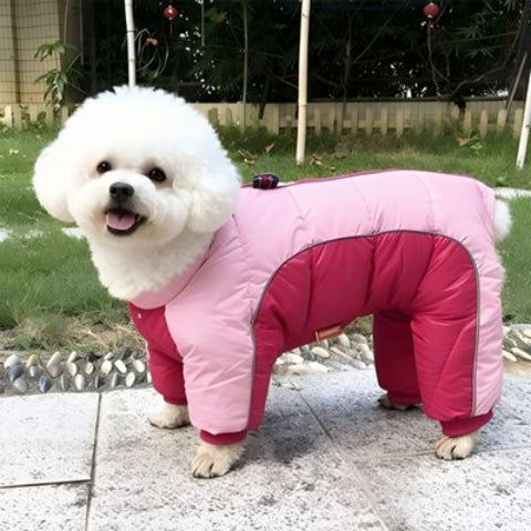 bichon frise qui porte le manteau pour chien impermeable rose tres chic