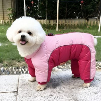 bichon frise qui porte le manteau pour chien impermeable rose tres chic