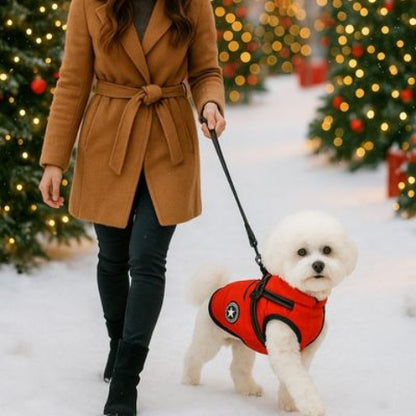 bichon qui porte le harnais chien hiver rouge tres pratique