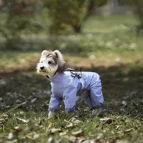 bichon qui porte le manteau chien violet tres joli