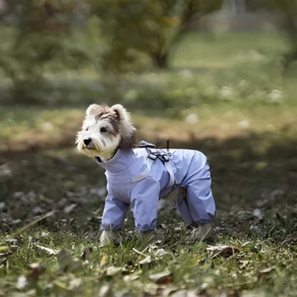 bichon qui porte le manteau chien violet tres joli