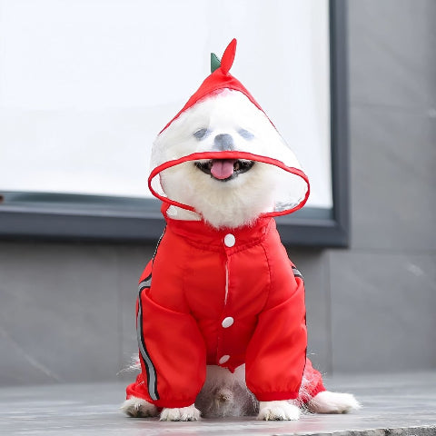 bichon qui porte le manteau pour chien pluvinou rouge de qualite