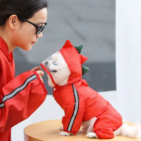 bichon qui porte le manteau pour chien pluvinou rouge forme dragon