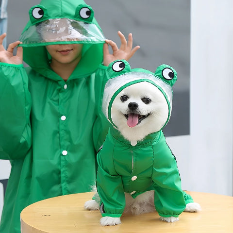 bichon qui porte le manteau pour chien pluvinou vert de bonne qualite