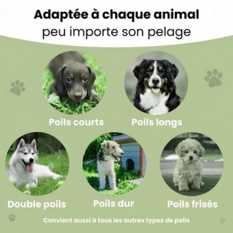 brosse a chien adapte a tout chien