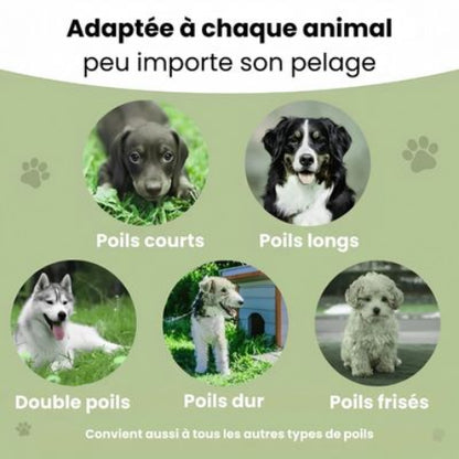 brosse a chien adapte a tout chien