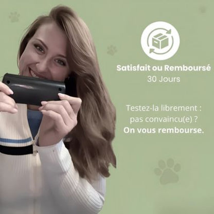 brosse a chien satisfant