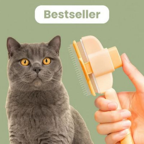 brosse anti poils bestseller
