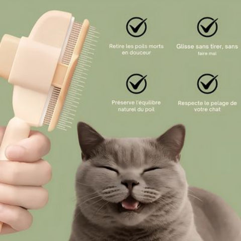 brosse anti poils efficace