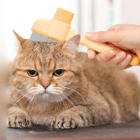 brosse anti poils essentiel