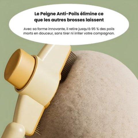 brosse anti poils indispensable