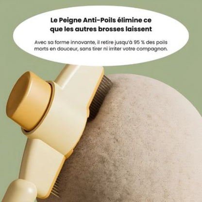 brosse anti poils indispensable