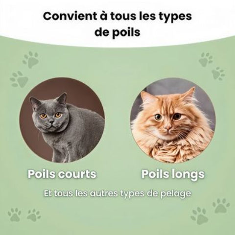 brosse anti poils polyvalent