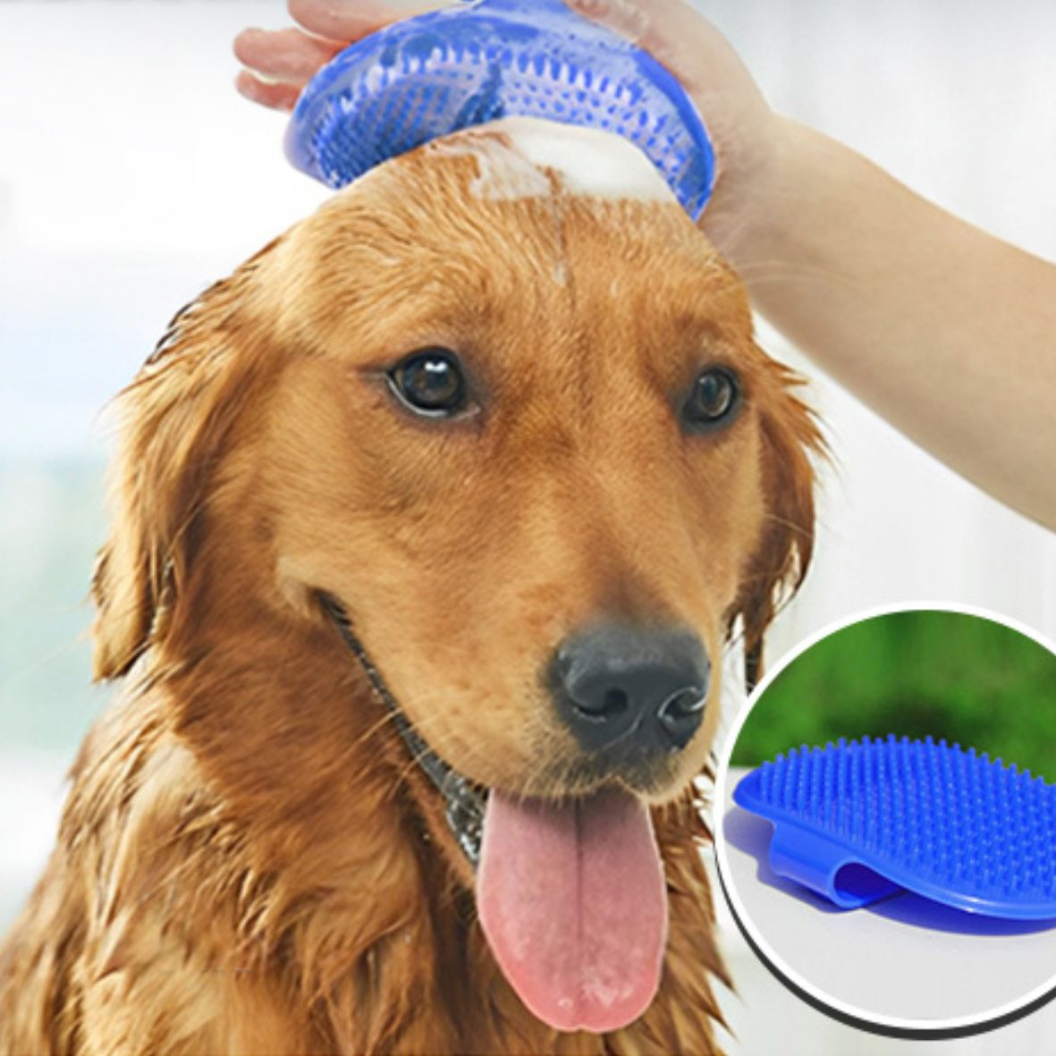 Brosse de toilettage pour chien en caoutchouc - DoucePatte