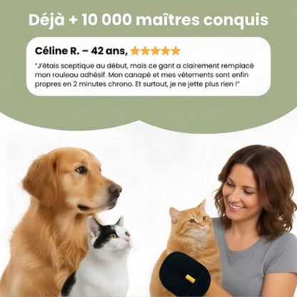 brosse pour chien pratique