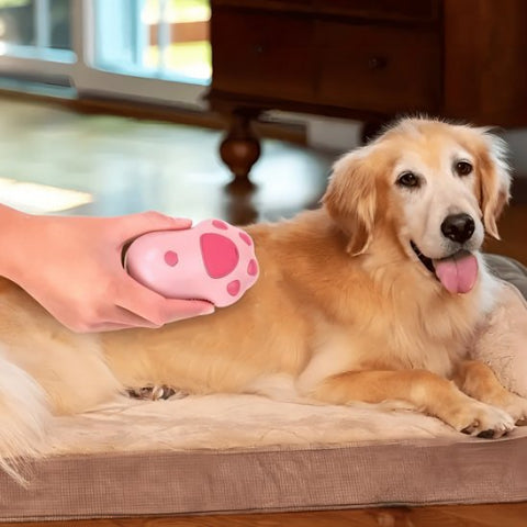 brosse pour chien rose essentielle