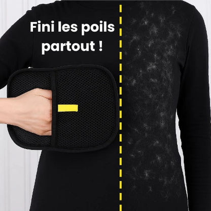 brosse pour chien stop poils