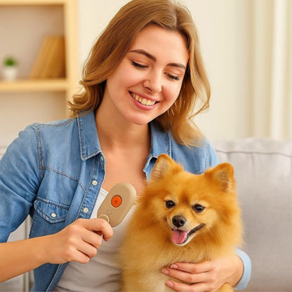 brosse pour chien tres pratique