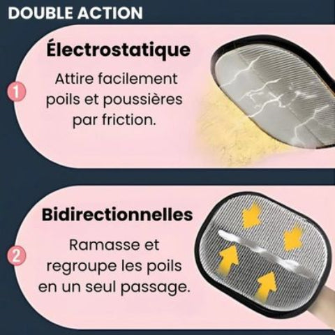 brosse pour chien utilisation